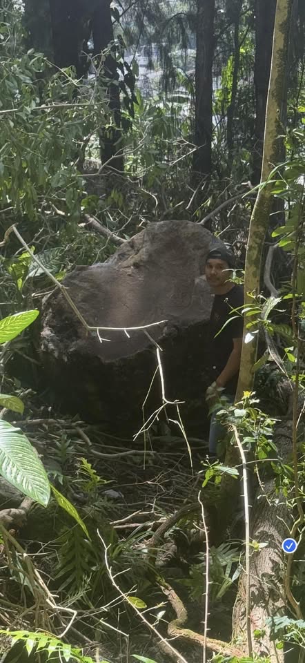 HELP NEEDED - Hawaii | SSH Search