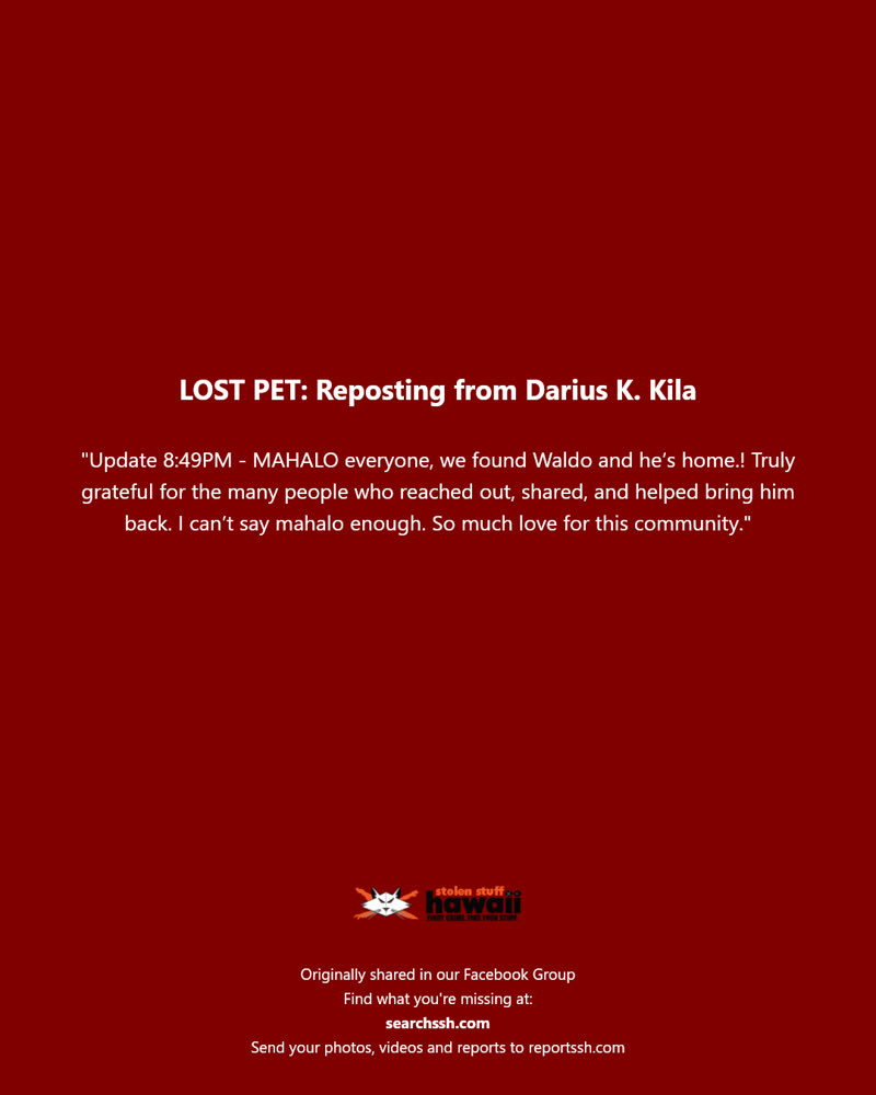 LOST PET - Hawaii | SSH Search