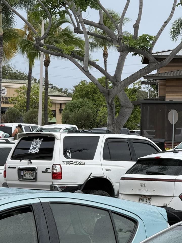 HIT AND RUN - Kapolei Commons, Kapolei, Oahu | SSH Search