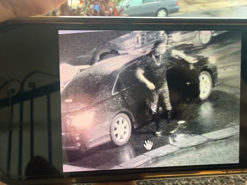 VEHICLE THEFT - Waipio, Oahu | SSH Search