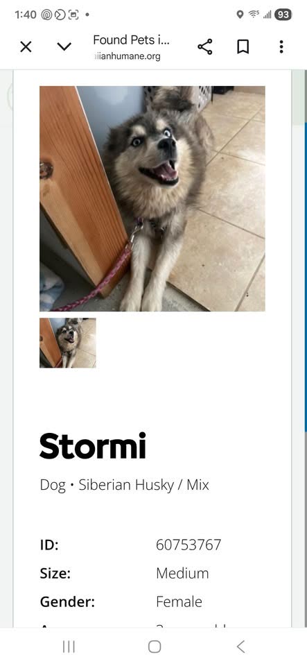 LOST PET - Hawaii | SSH Search