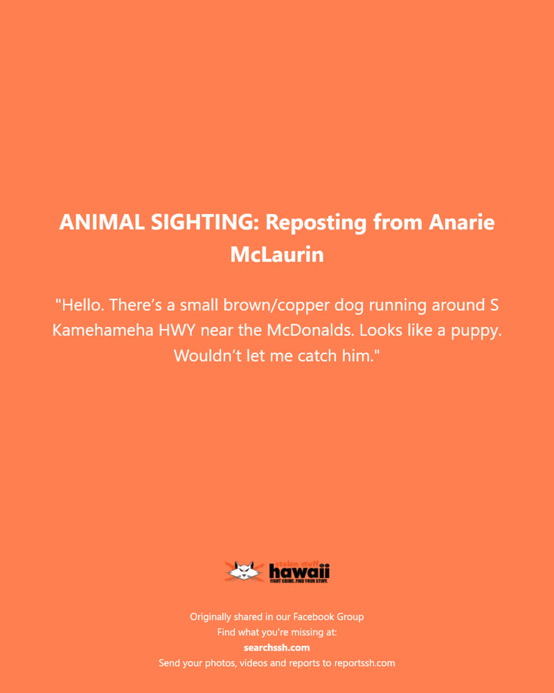 ANIMAL SIGHTING - S Kamehameha HWY near McDonalds, Oahu | SSH Search