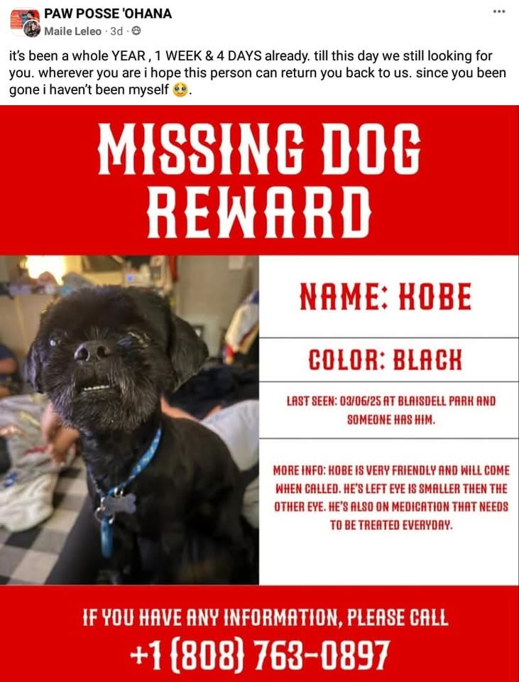 LOST PET - Hawaii | SSH Search