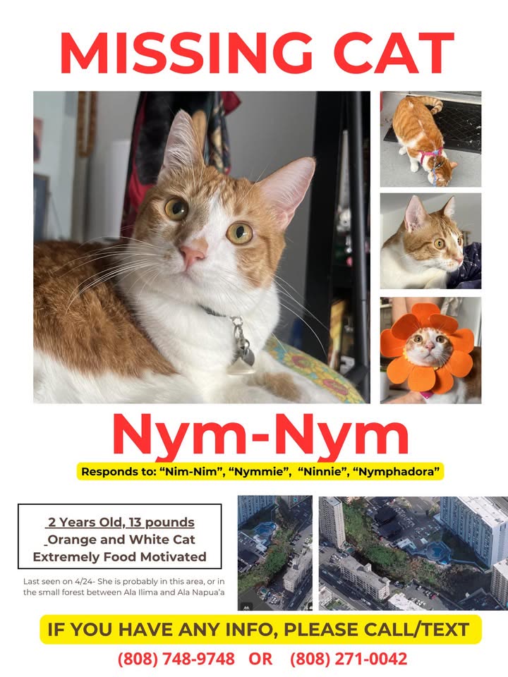 ANIMAL SIGHTING - Hawaii | SSH Search