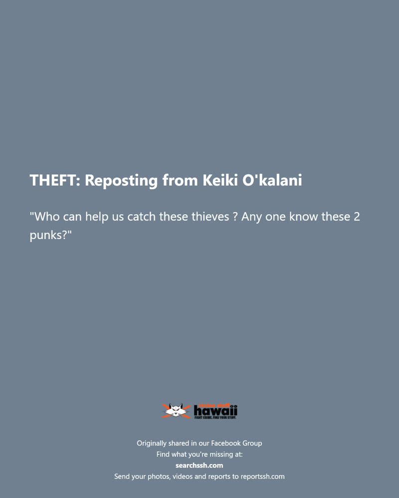 THEFT - Hawaii | SSH Search