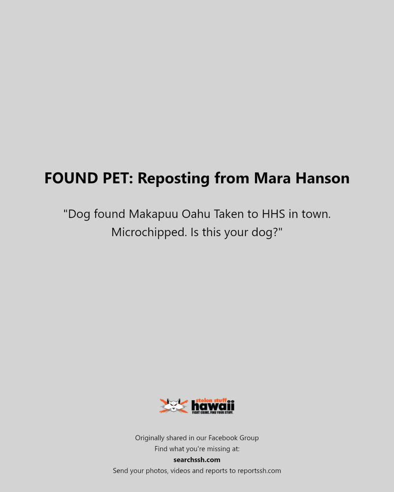 FOUND PET - Makapuu, Oahu | SSH Search