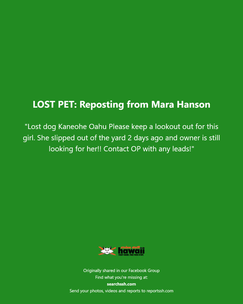 LOST PET - Kaneohe, Oahu | SSH Search