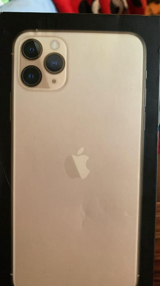 LOST ITEM - Hawaii | SSH Search