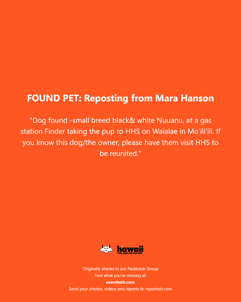 FOUND PET - Waialae Avenue, Mo'ili'ili, Oahu | SSH Search