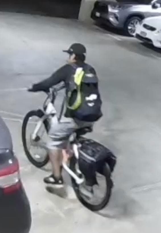 THEFT - Hawaii | SSH Search