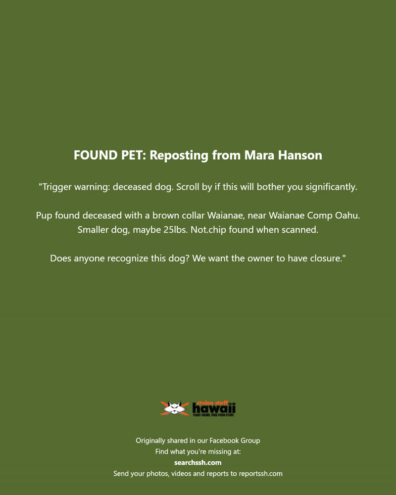 FOUND PET - Waianae, near Waianae Comp, Oahu | SSH Search