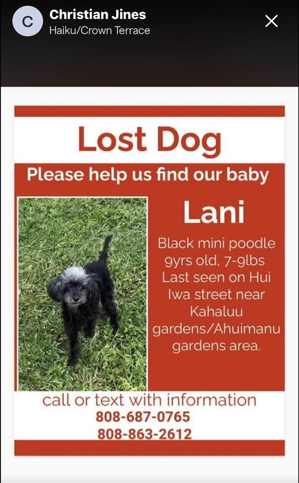 LOST PET - Ahuimanu, Oahu | SSH Search