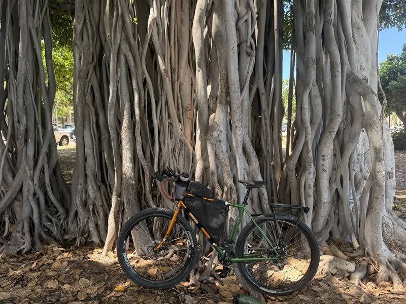 THEFT - Ilikai Hotel, Honolulu, Oahu | SSH Search