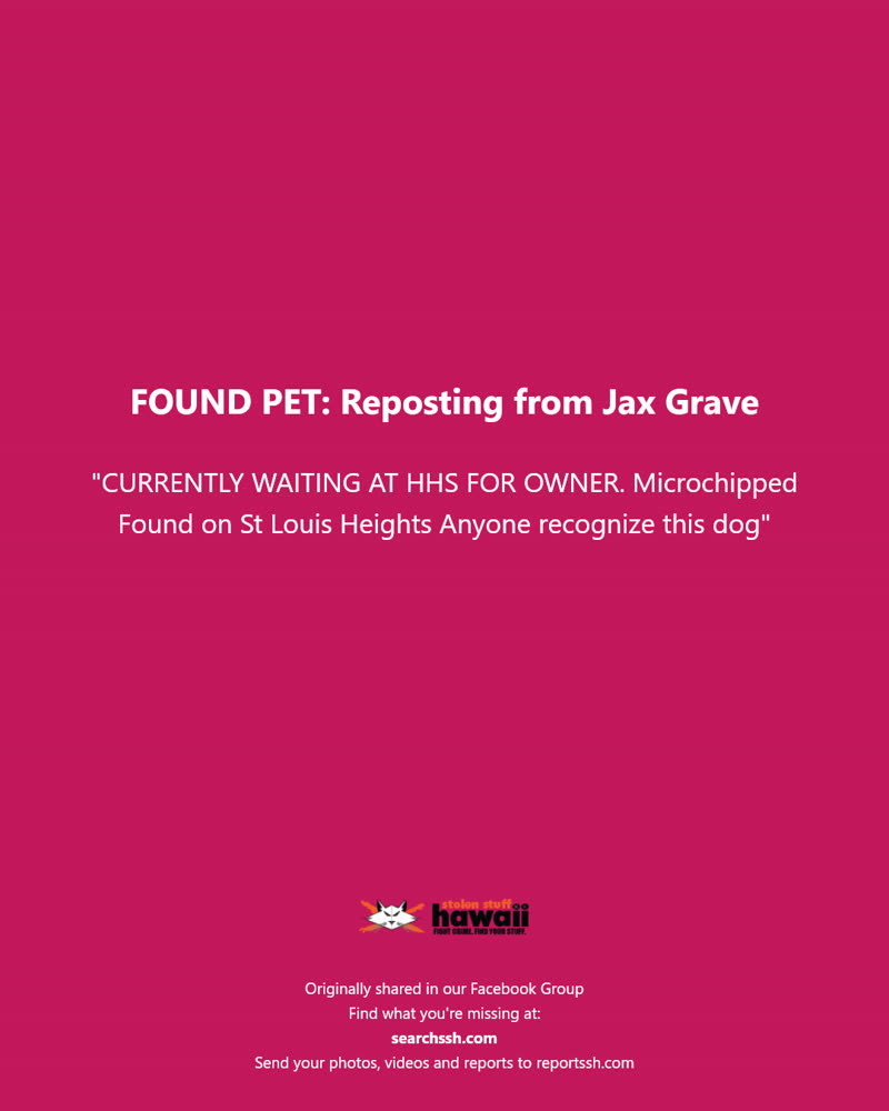 FOUND PET - St Louis Heights, Honolulu, Oahu | SSH Search