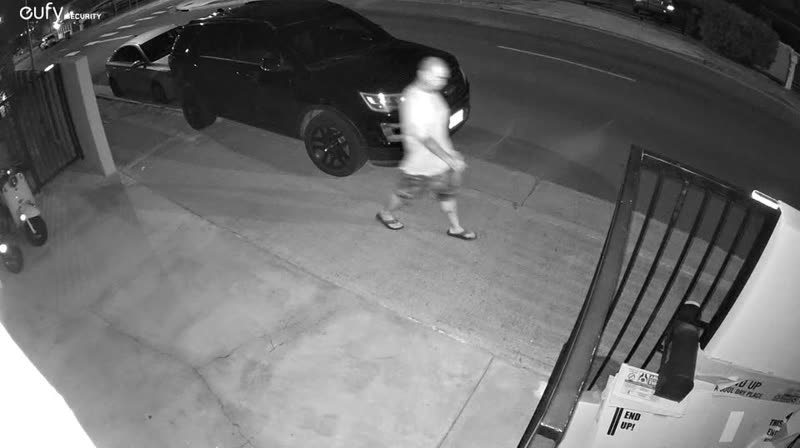 THEFT - Kapahulu | SSH Search