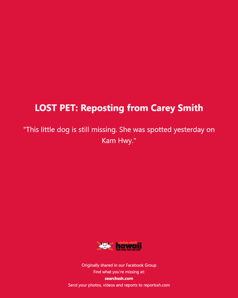LOST PET - Kam Hwy, Hawaii | SSH Search