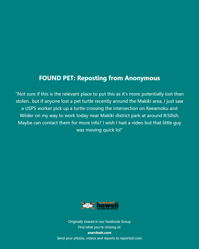 FOUND PET - Keeaumoku Street and Wilder Avenue, Makiki, Honolulu | SSH Search