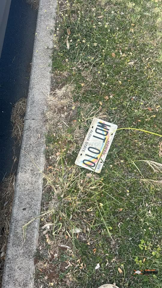 FOUND ITEM - Makakilo, Oahu | SSH Search