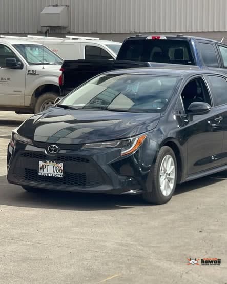 VEHICLE THEFT - Waiwai Loop, Honolulu, Oahu | SSH Search