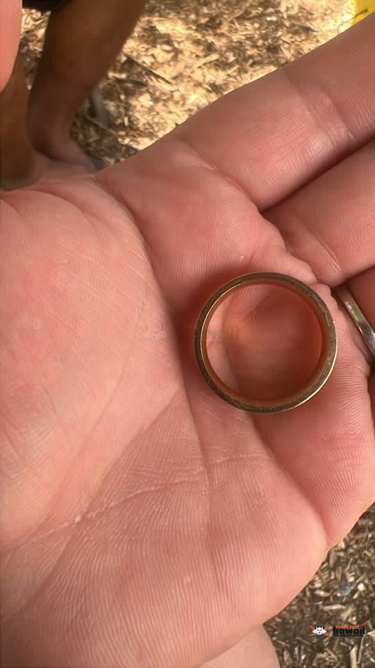 FOUND ITEM - Waianae, Oahu | SSH Search