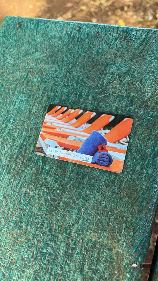 FOUND ITEM - Honolulu International Airport, Honolulu, Oahu | SSH Search