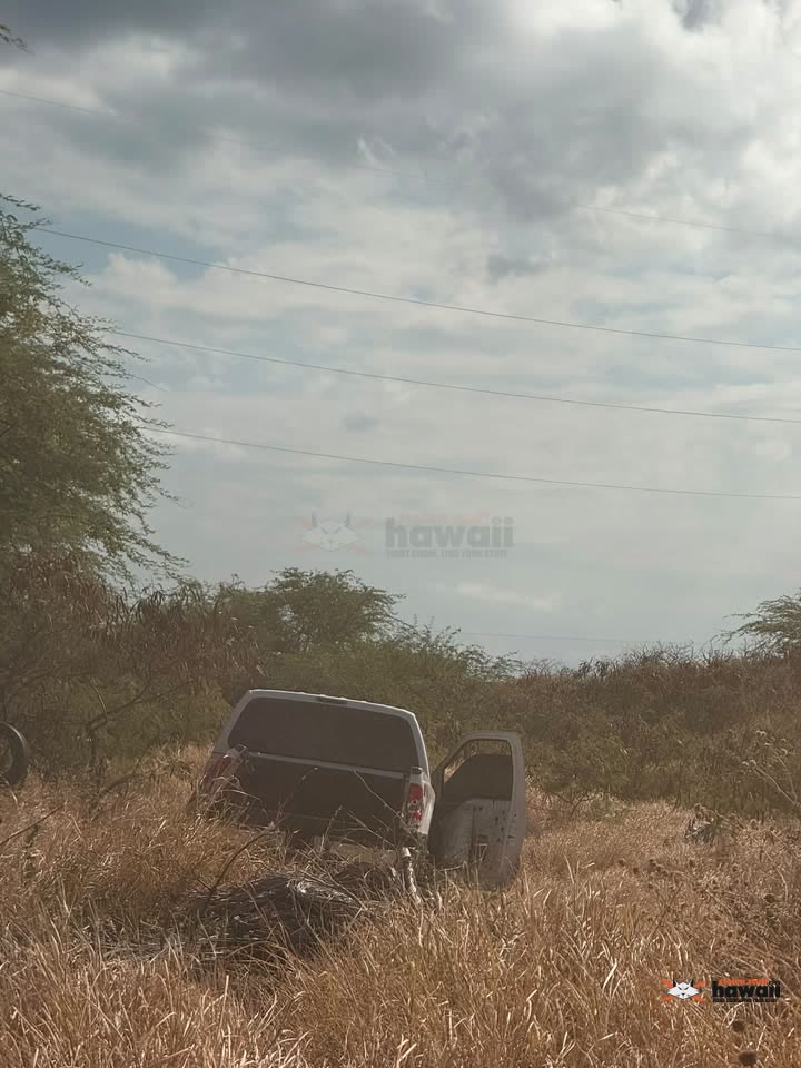 FOUND ITEM - Campbell Industrial, Oahu | SSH Search