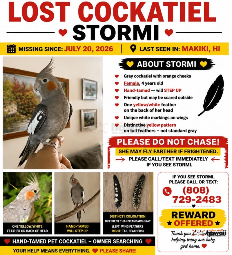 LOST PET - Unknown | SSH Search