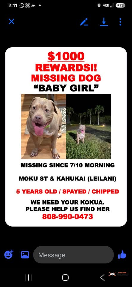 LOST PET - Unknown | SSH Search