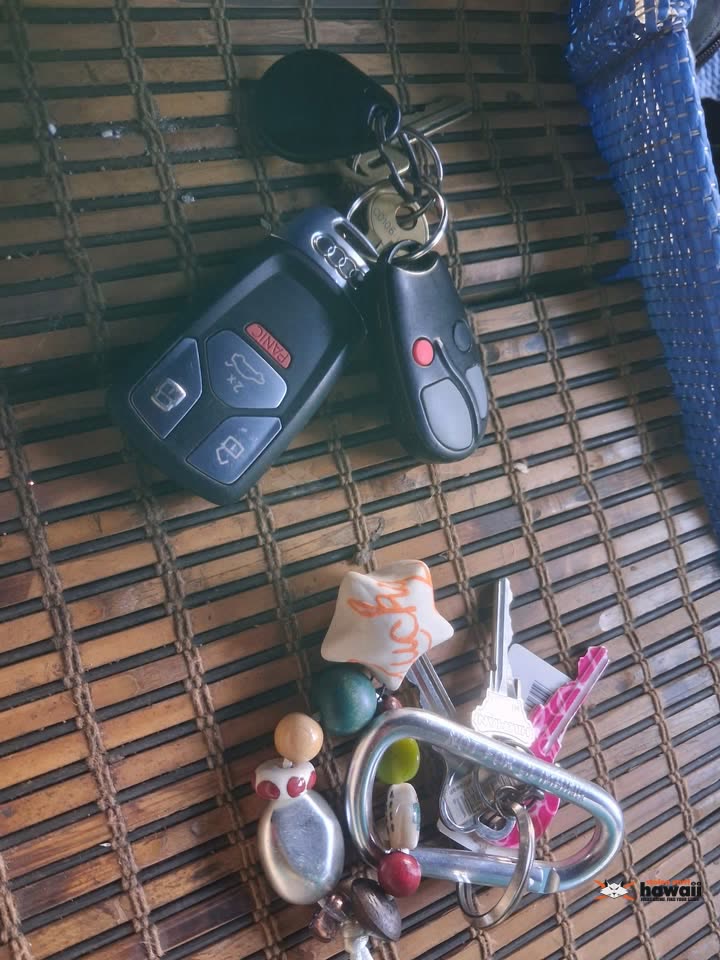 FOUND ITEM - Unknown | SSH Search