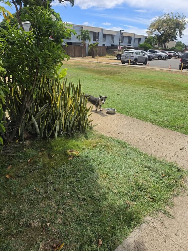 ANIMAL SIGHTING - Unknown | SSH Search