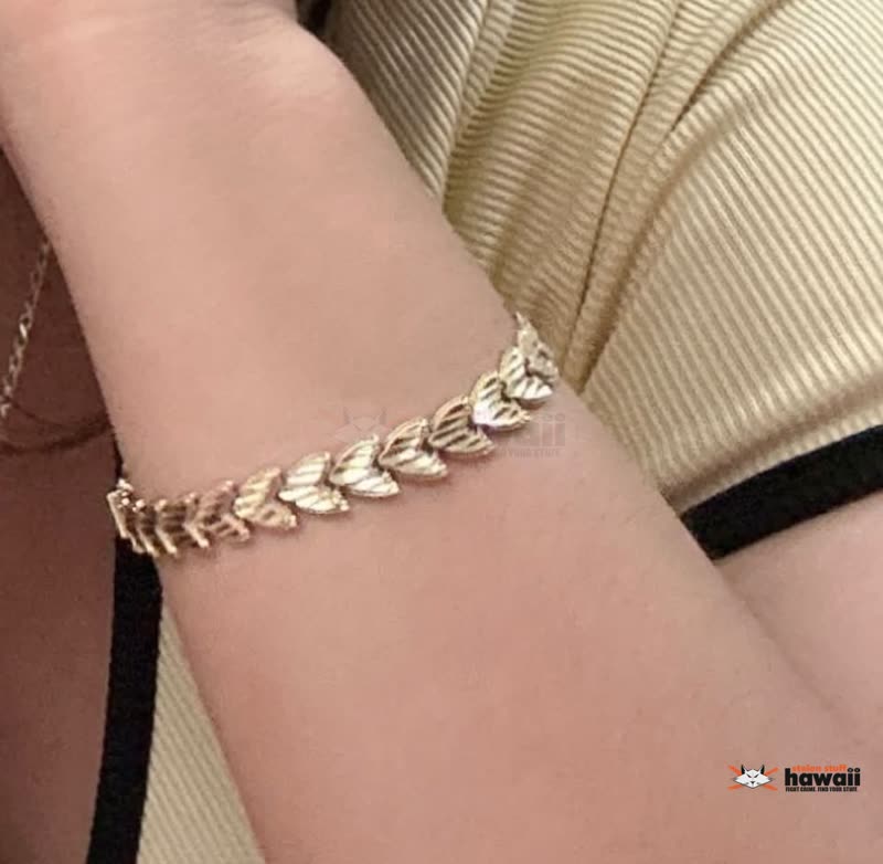 LOST ITEM - Wet N Wild, Kapolei, Oahu | SSH Search