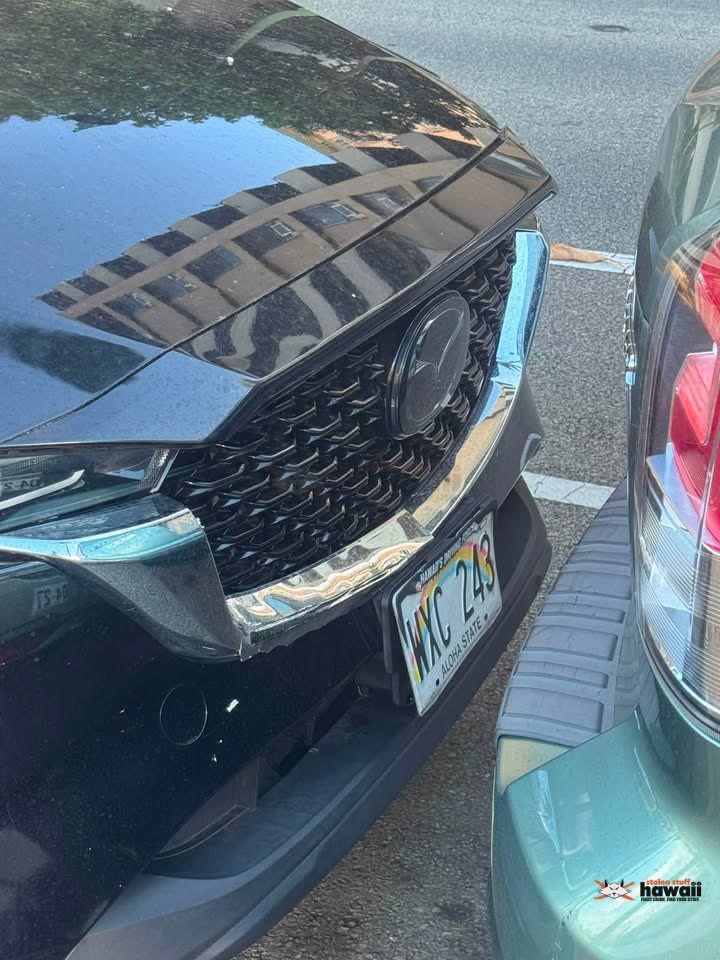 HIT AND RUN - Ala Wai Boulevard, Honolulu, Oahu | SSH Search
