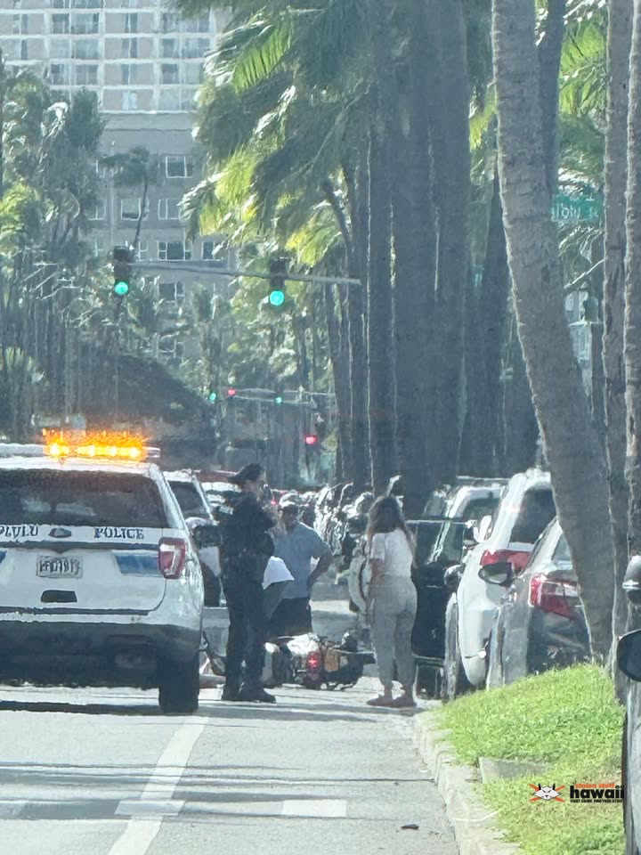 TRAFFIC INCIDENT - Ala Wai, Honolulu, Oahu | SSH Search