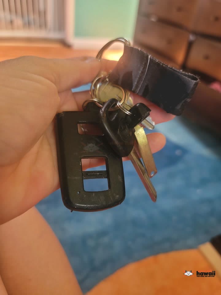 FOUND ITEM - Enchanted Lake, Kailua, Oahu | SSH Search