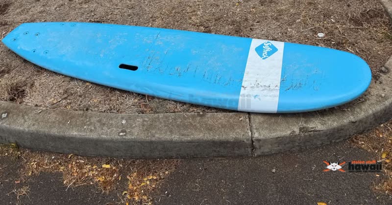 FOUND PET - Kakaako Regional Park, Honolulu, Oahu | SSH Search