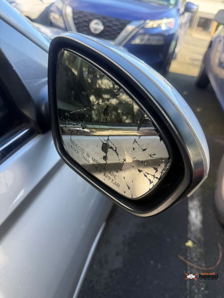 TRAFFIC INCIDENT - Kaneohe, Oahu | SSH Search