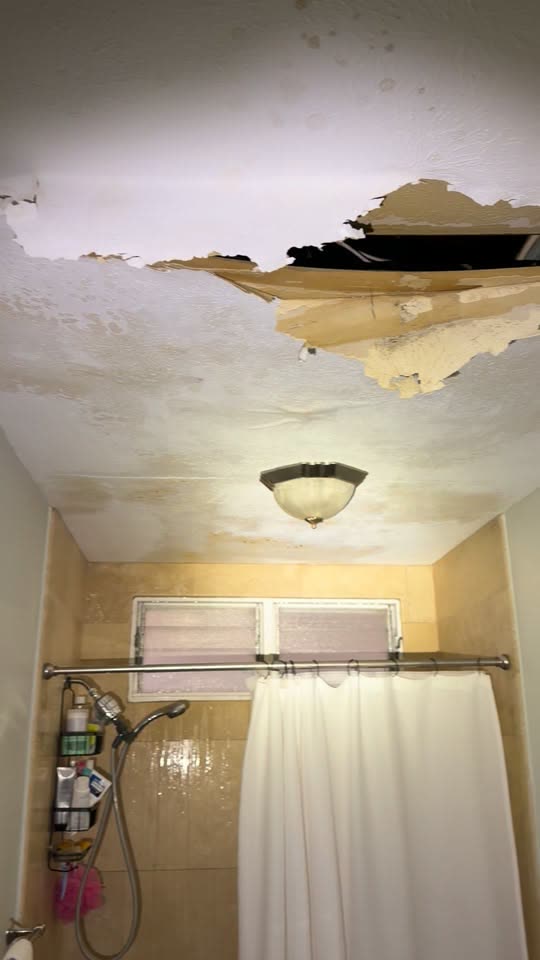 SAFETY ALERT - Alewa Heights/Nuuanu, Honolulu, Oahu | SSH Search