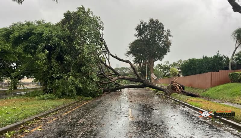 TRAFFIC - Lanikuhana Avenue by Mililani District Park, Mililani, Oahu | SSH Search