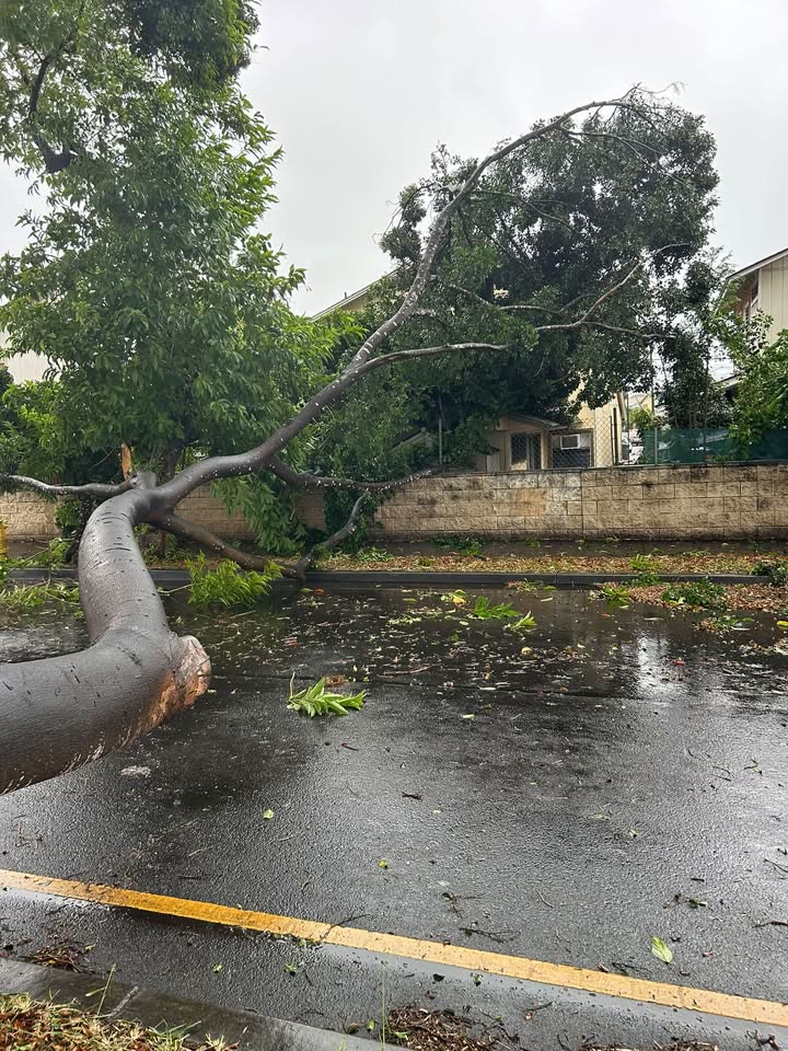 SAFETY ALERT - Renton Street, Honolulu, Oahu | SSH Search