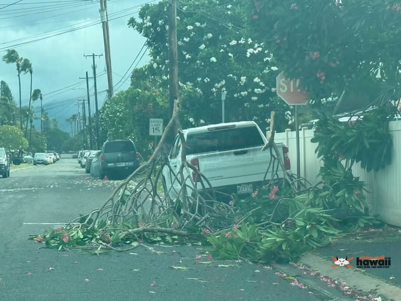 POWER OUTAGE - Kapilina Beach Homes, Oahu | SSH Search