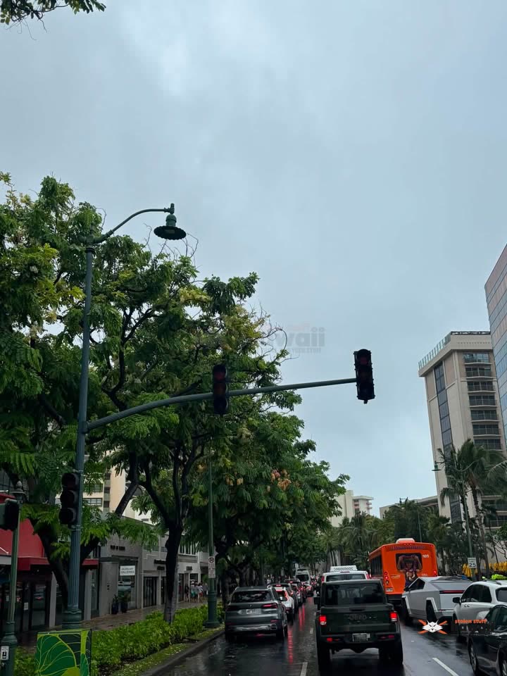 TRAFFIC - Kalakaua Avenue and Kuhio Avenue, Waikiki, Honolulu, Oahu | SSH Search