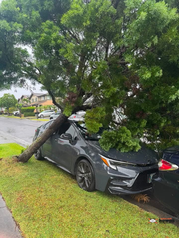 ALOHA - Ohiaha Street, Mililani, Oahu | SSH Search