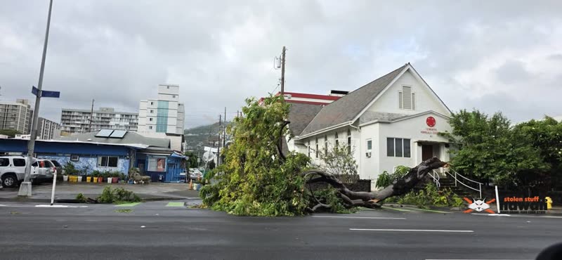 TRAFFIC - King Street and Artesian, Honolulu, Oahu | SSH Search