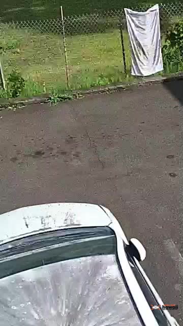 POWER OUTAGE - Lakeview, Honolulu, Oahu | SSH Search