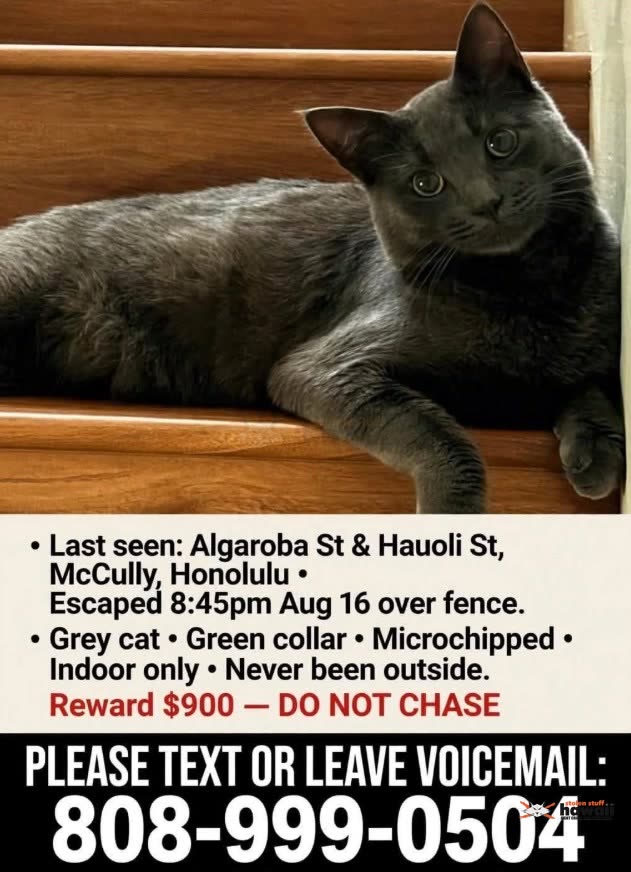 LOST PET - Unknown | SSH Search