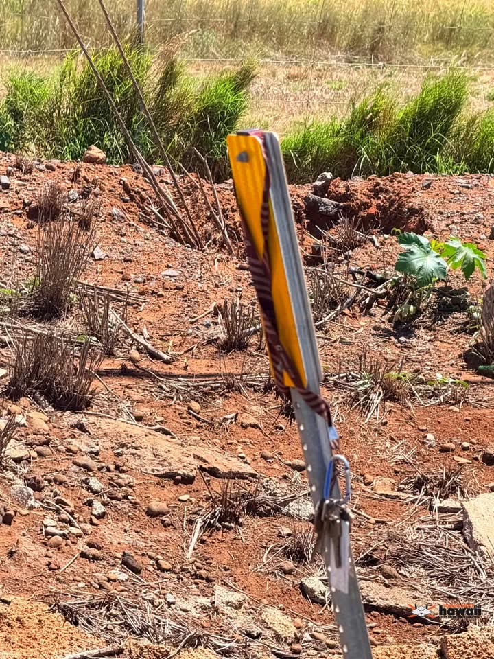 FOUND ITEM - Hammerhead Metals Recycling, Maui | SSH Search