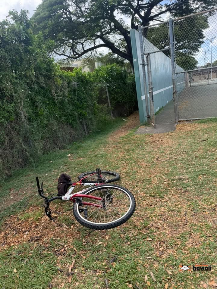 FOUND ITEM - Kalihi Street near Kalakaua Middle School, Honolulu, Oahu | SSH Search