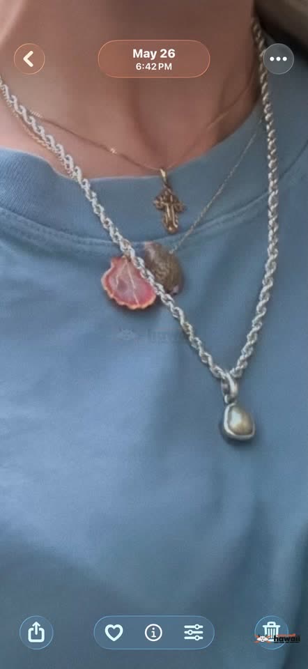LOST ITEM - Unknown | SSH Search