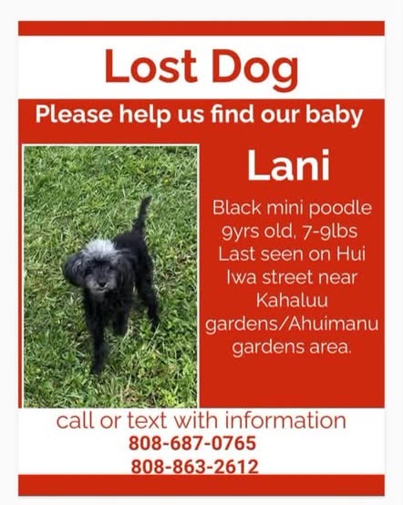 LOST PET - Temple Valley, Honolulu, Oahu | SSH Search
