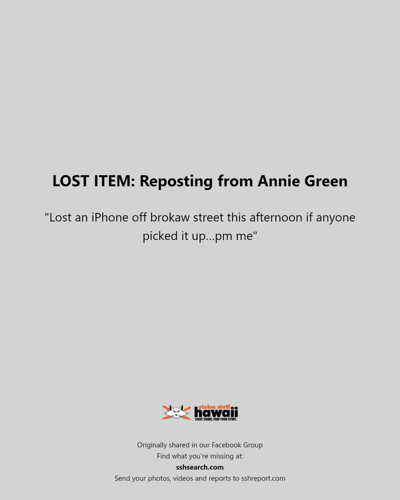 LOST ITEM - Brokaw Street, Honolulu, Oahu | SSH Search